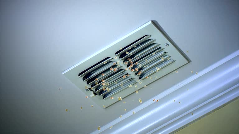 Best Air Vent Cleaning Services  in Poplar Bluff, MO